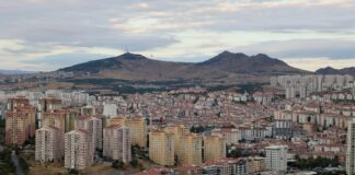 a view of a city with mountains in the background