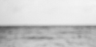 grayscale photo of woman on seashore