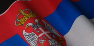 a close up of a flag with a crown on it