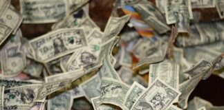 close-up photography of 1 U.S dollar banknote lot