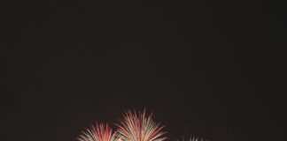 firework display during night time