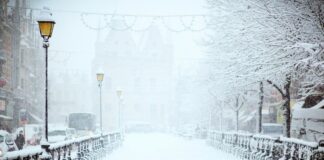 road covered by snow near vehicle traveling at daytime
