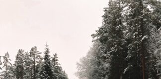 car on snow covered road