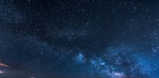 mountains with trees under white star at night