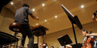 man in black t-shirt playing violin