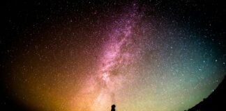 silhouette photography of person
