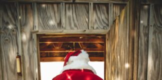 santa claus plush toy on brown wooden bench