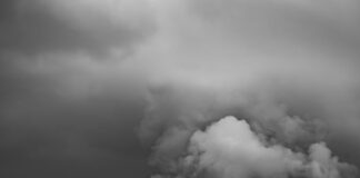 grayscale photo of trees near body of water under cloudy sky