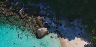 aerial view photography of boats on seashore