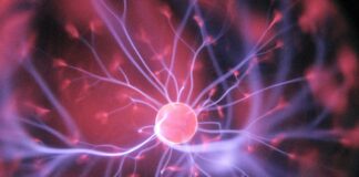 purple and pink plasma ball