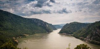 grey calm body of water between mountains and tall trees under white clouds at daytime