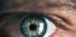 close-up photography of human eye