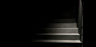 person taking photo of grey concrete stairs