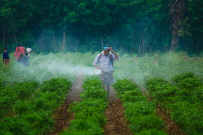 a man walking through a field covered in fog