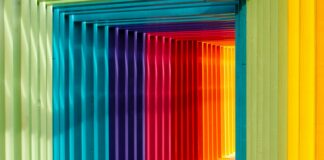 multicolored wall in shallow focus photography