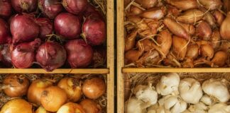 a bunch of different types of onions and onions
