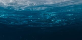 blue and clear body of water