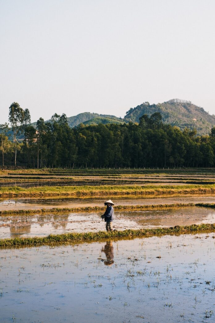 man in black jacket walking on brown field during daytime