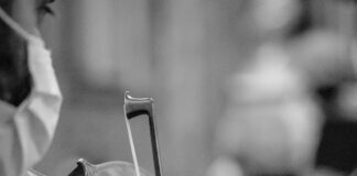 person playing violin in grayscale photography