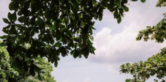 woman on body of water during daytime