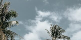 green van near green and brown boat on seashore under white and blue sky