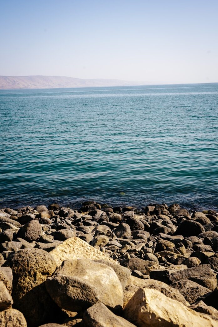 a rocky beach with a body of water in the background