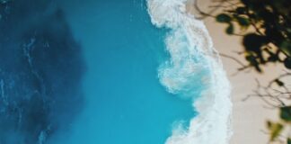 bird's eyeview of seashore