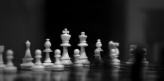 white and black chess pieces