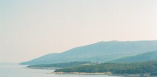 a body of water filled with lots of boats
