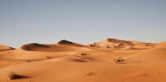 landscape photography of desert