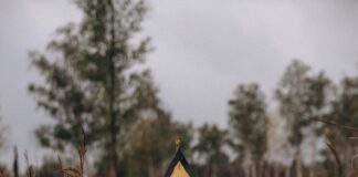 yellow and black star signage