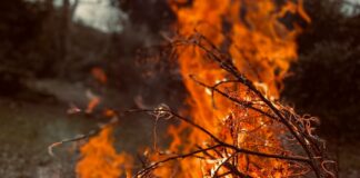 a bunch of branches that are on fire