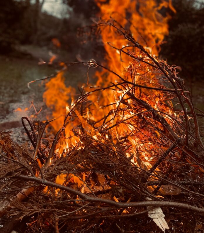 a bunch of branches that are on fire