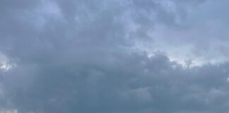 a body of water surrounded by trees and mountains
