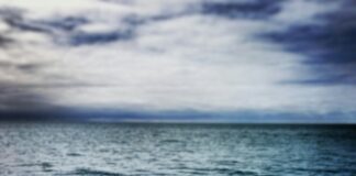close up photography of calm body of water