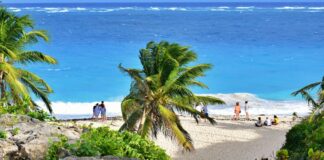 people on beach during daytime