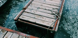 brown wooden dock during daytime