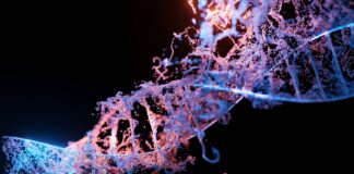 a close up of a blue and purple structure