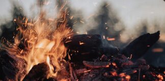 tilt-shift lens photography of fire ember
