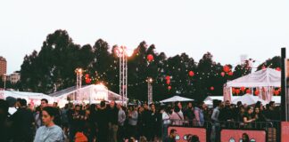 people sitting on green grass field during daytime