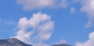 a view of a small town on the shore of a lake