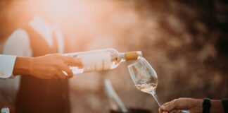 person holding wine glass bottle