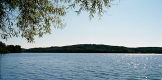 A body of water surrounded by trees and a hill