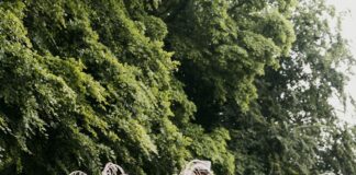 a couple of men riding a horse carriage