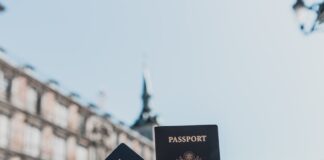person holding passports