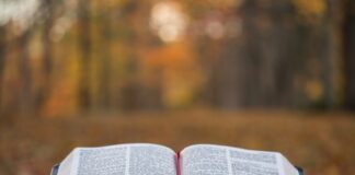 bible page on gray concrete surface