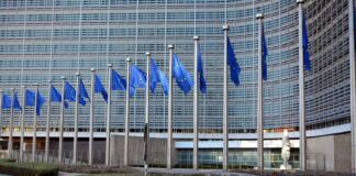 blue flags on poles near building during daytime