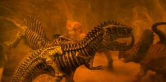 black and brown dinosaur toy