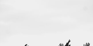 silhouette of people raising their hands