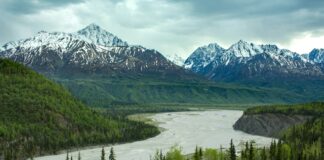 green trees near lake and snow covered mountain during daytime